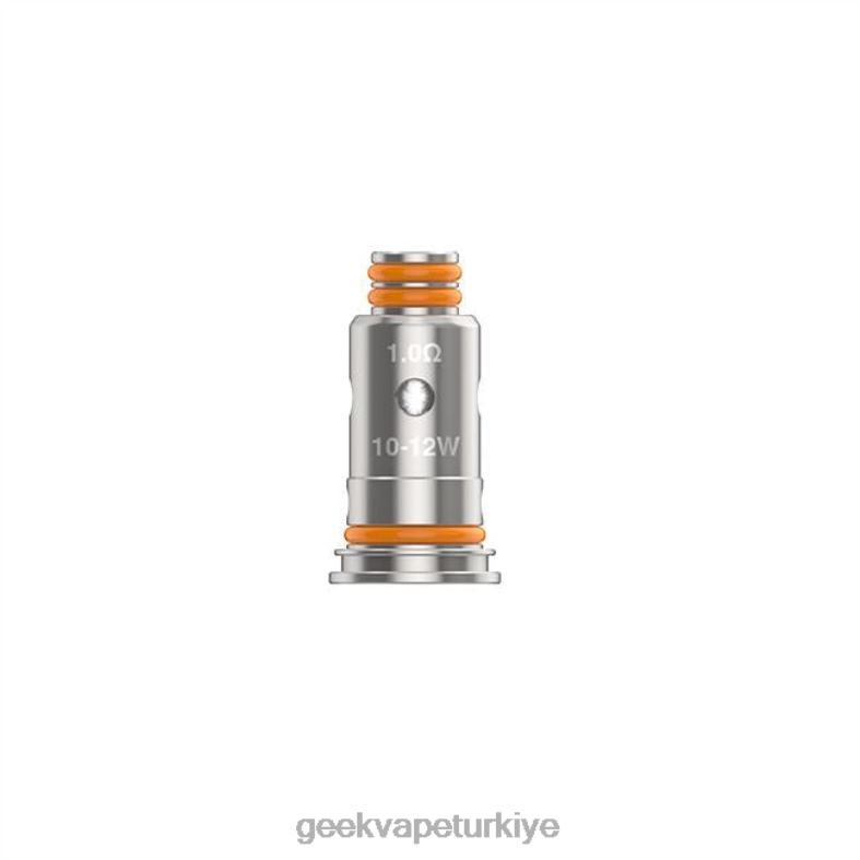 5 adet/paket g serisi bobin - Geek vape elektronik sigara GeekVape g1,0 ohm 8640L23